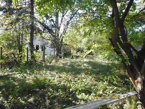 13021 Kelly (6)_m.jpg